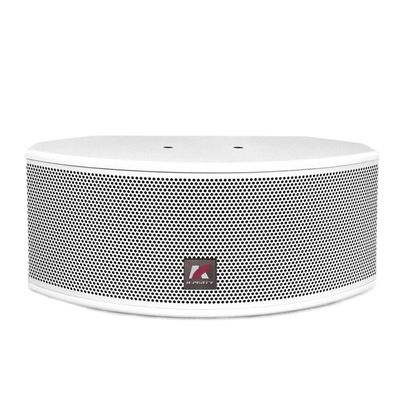 Série KP Home Cinerma Audio Haut-parleur pour le renforcement du son de la musique surround et du canal moyen
